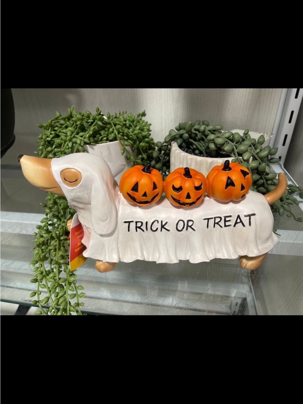 Halloween Dachshund Ghost Costume Trick or Treat Pumpkin Resin Figure NEW